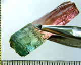 Tourmaline , tri-colour – Mozambique – 38.90cts - Ref. TOB-535