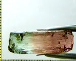 Tourmaline , tri-colour – Mozambique – 16.82 cts - Ref. TOB-536