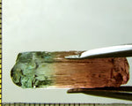 Tourmaline , tri-colour – Mozambique – 16.82 cts - Ref. TOB-536