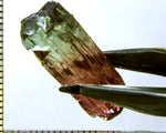 Tourmaline , tri-colour – Mozambique – 16.82 cts - Ref. TOB-536