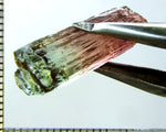 Tourmaline , tri-colour – Mozambique – 16.82 cts - Ref. TOB-536