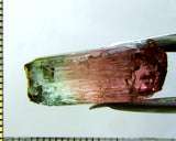 Tourmaline , tri-colour – Mozambique – 16.82 cts - Ref. TOB-536