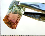 Tourmaline , tri-colour – Mozambique – 13.92 cts - Ref. TOB-588 - THIS STONE HAS BEEN RESERVED.