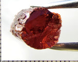 Tourmaline bi-colour– Mozambique – 14.65 cts - Ref. TOB-589- THIS STONE HAS BEEN RESERVED