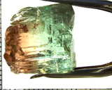 Tourmaline , tri-colour – Mozambique – 28.40 cts - Ref. TOB-594