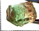 Tourmaline , tri-colour – Mozambique – 28.40 cts - Ref. TOB-594