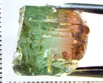 Tourmaline , tri-colour – Mozambique – 28.40 cts - Ref. TOB-594