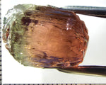 Tourmaline , bi-colour – Mozambique – 28.82 cts - Ref. TOB-595