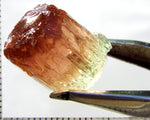 Tourmaline , bi-colour – Mozambique – 28.82 cts - Ref. TOB-595