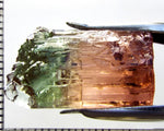 Tourmaline , tri-colour – Mozambique – 30.49 cts - Ref. TOB-597
