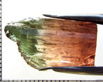 Tourmaline , tri-colour – Mozambique – 30.49 cts - Ref. TOB-597