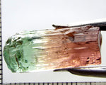 Tourmaline , tri-colour – Mozambique – 17.28 cts - Ref. TOB-601