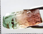 Tourmaline , tri-colour – Mozambique – 17.28 cts - Ref. TOB-601