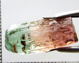 Tourmaline , tri-colour – Mozambique – 17.28 cts - Ref. TOB-601