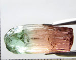 Tourmaline , tri-colour – Mozambique – 17.28 cts - Ref. TOB-601