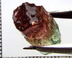 Tourmaline , tri-colour – Mozambique – 17.28 cts - Ref. TOB-601