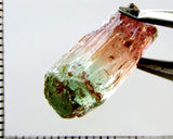 Tourmaline , tri-colour – Mozambique – 17.28 cts - Ref. TOB-601