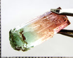 Tourmaline , tri-colour – Mozambique – 17.28 cts - Ref. TOB-601