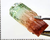 Tourmaline , tri-colour – Mozambique – 17.28 cts - Ref. TOB-601