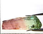 Tourmaline , tri-colour – Mozambique – 14.13 cts - Ref. TOB-603