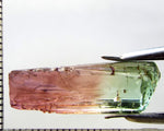 Tourmaline , tri-colour – Mozambique – 14.13 cts - Ref. TOB-603
