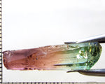 Tourmaline , tri-colour – Mozambique – 14.13 cts - Ref. TOB-603