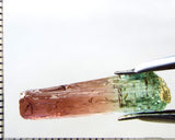 Tourmaline , tri-colour – Mozambique – 14.13 cts - Ref. TOB-603