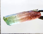 Tourmaline , tri-colour – Mozambique – 14.13 cts - Ref. TOB-603