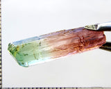 Tourmaline , tri-colour – Mozambique – 14.13 cts - Ref. TOB-603