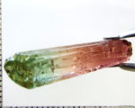 Tourmaline , tri-colour – Mozambique – 14.13 cts - Ref. TOB-603