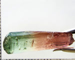 Tourmaline , tri-colour – Mozambique – 14.13 cts - Ref. TOB-603