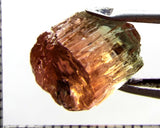 Tourmaline , bi-colour – Mozambique – 11.46 cts - Ref. TOB-605- THIS STONE HAS BEEN RESERVED.