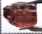 Tourmaline – Mozambique – 8.74 cts - Ref. TOB-609