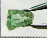 Tourmaline – Mozambique– 5.48 cts - Ref. TOB-614