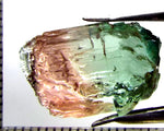 Tourmaline , tri-colour – Mozambique – 16.73 cts - Ref. TOB-637