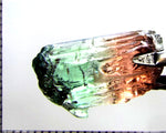 Tourmaline , tri-colour – Mozambique – 16.73 cts - Ref. TOB-637