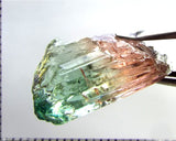 Tourmaline , tri-colour – Mozambique – 16.73 cts - Ref. TOB-637