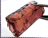 Tourmaline – Mozambique – 22.36 cts - Ref. TOB-640