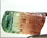 Tourmaline , tri-colour – Mozambique – 41.44 cts - Ref. TOB-642