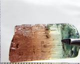 Tourmaline , tri-colour – Mozambique – 41.44 cts - Ref. TOB-642