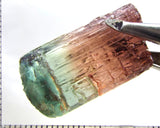 Tourmaline , tri-colour – Mozambique – 41.44 cts - Ref. TOB-642