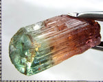 Tourmaline , tri-colour – Mozambique – 41.44 cts - Ref. TOB-642