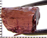 Tourmaline – Mozambique – 10.39 cts - Ref. TOB-644