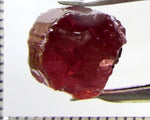 Tourmaline – Mozambique – 11.67 cts - Ref. TOB-646