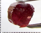 Tourmaline – Mozambique – 11.67 cts - Ref. TOB-646