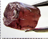 Tourmaline – Mozambique – 11.67 cts - Ref. TOB-646