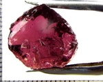 Tourmaline – Mozambique – 15.99 cts - Ref. TOB-651