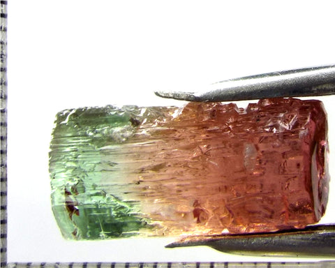 Tourmaline , tri-colour – Mozambique – 20.19 cts - Ref. TOB-653