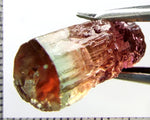 Tourmaline , tri-colour – Mozambique – 20.19 cts - Ref. TOB-653