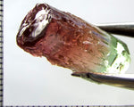 Tourmaline , tri-colour – Mozambique – 20.19 cts - Ref. TOB-653